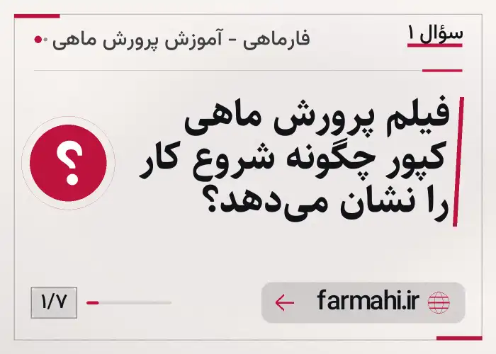 فیلم پرورش ماهی کپور چگونه شروع کار را نشان می‌دهد؟