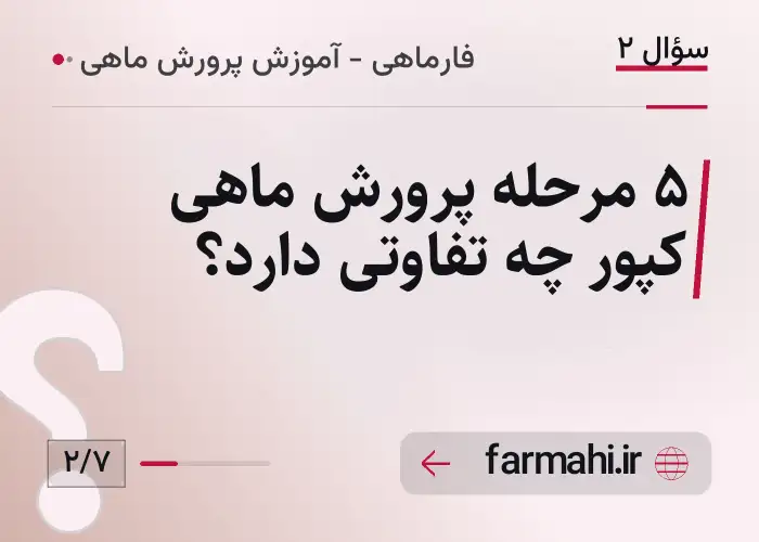 ۵ مرحله پرورش ماهی کپور چه تفاوتی دارد؟