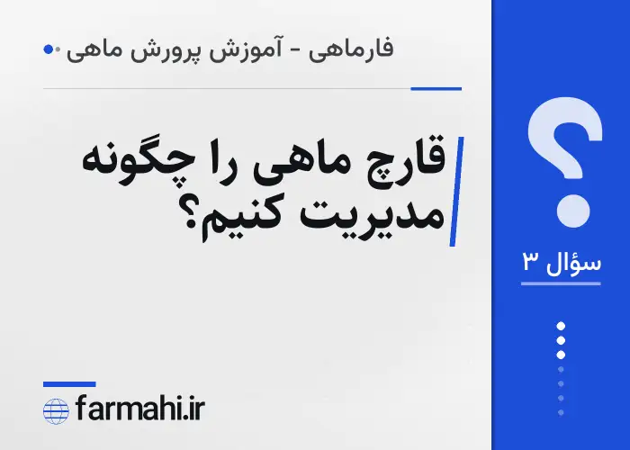 قارچ ماهی را چگونه مدیریت کنیم؟