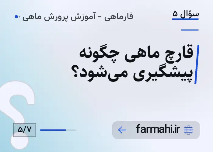 قارچ ماهی چگونه پیشگیری می‌شود؟