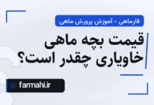 قیمت بچه ماهی خاویاری چقدر است؟