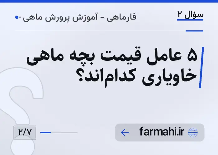 ۵ عامل قیمت بچه ماهی خاویاری کدام‌اند؟
