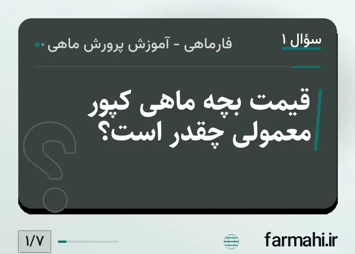 قیمت بچه ماهی کپور معمولی چقدر است؟