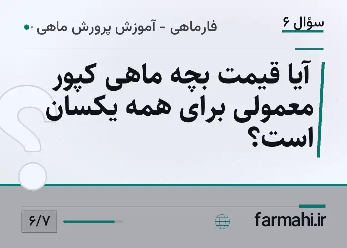 آیا قیمت بچه ماهی کپور معمولی برای همه یکسان است؟