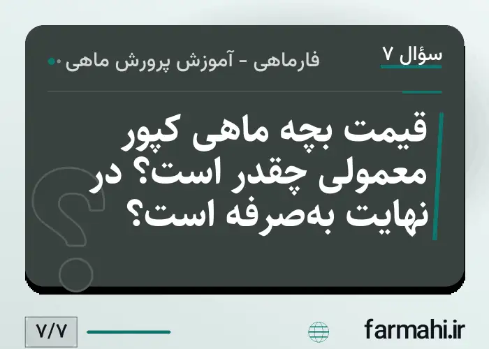 قیمت بچه ماهی کپور معمولی چقدر است؟ در نهایت به‌صرفه است؟