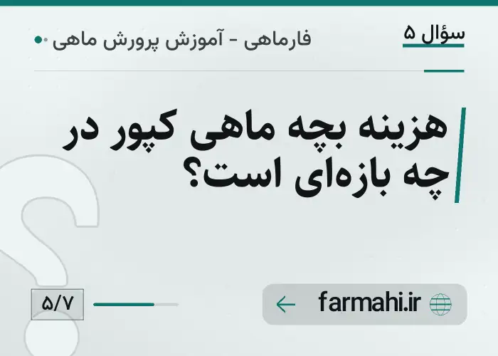 هزینه بچه ماهی کپور در چه بازه‌ای است؟