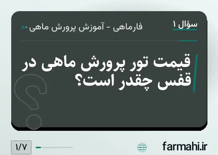قیمت تور پرورش ماهی در قفس چقدر است؟
