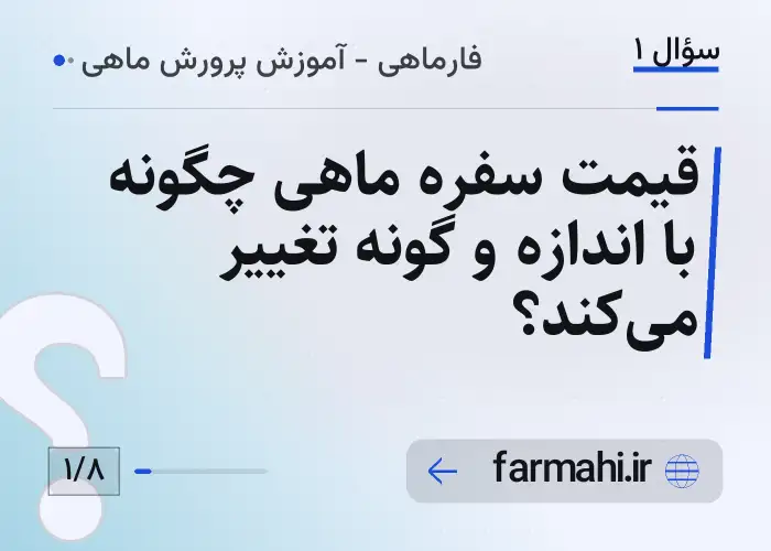 قیمت سفره ماهی چگونه با اندازه و گونه تغییر می‌کند؟