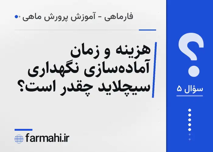 هزینه و زمان آماده‌سازی نگهداری سیچلاید چقدر است؟