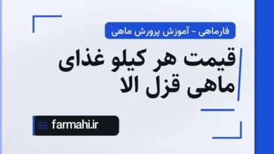 قیمت هر کیلو غذای ماهی قزل الا