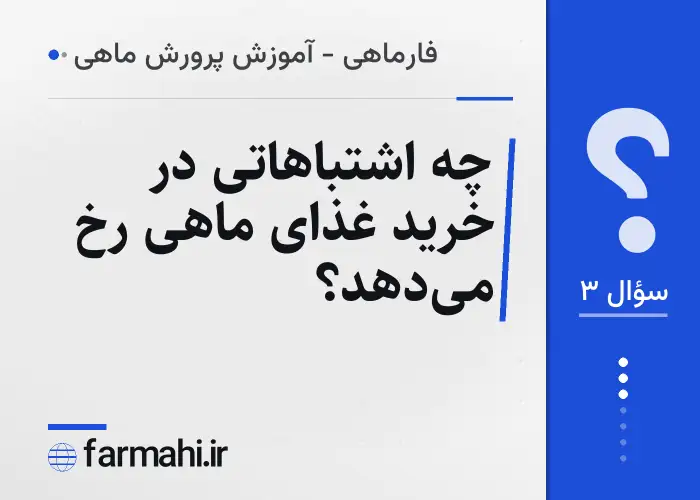 چه اشتباهاتی در خرید غذای ماهی رخ می‌دهد؟