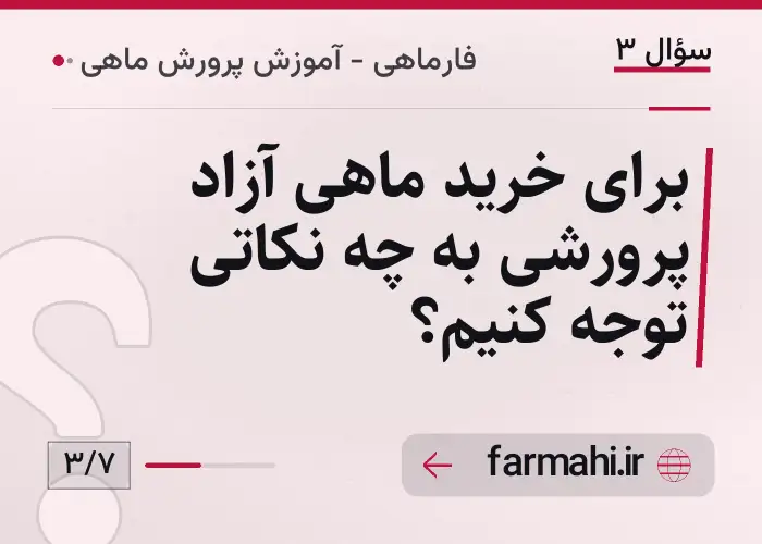 برای خرید ماهی آزاد پرورشی به چه نکاتی توجه کنیم؟