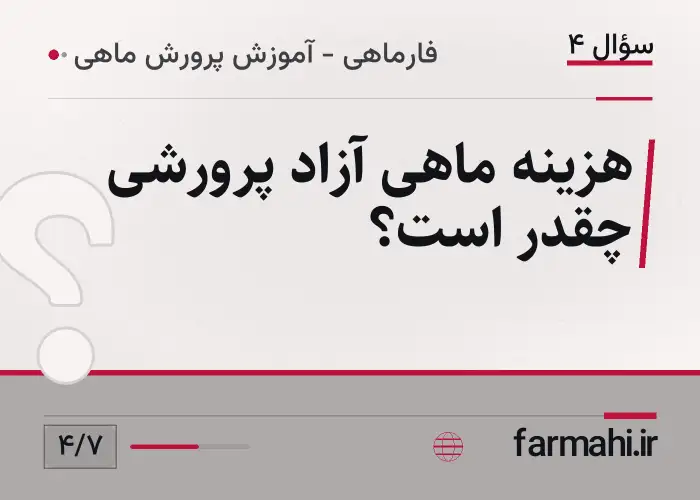 هزینه ماهی آزاد پرورشی چقدر است؟
