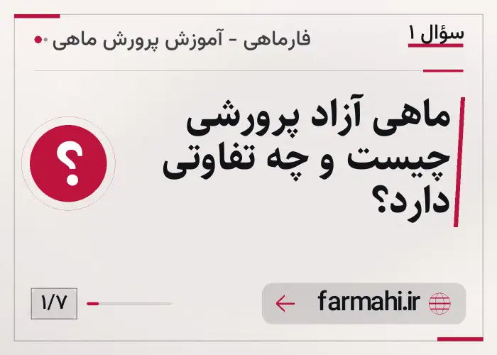 ماهی آزاد پرورشی چیست و چه تفاوتی دارد؟