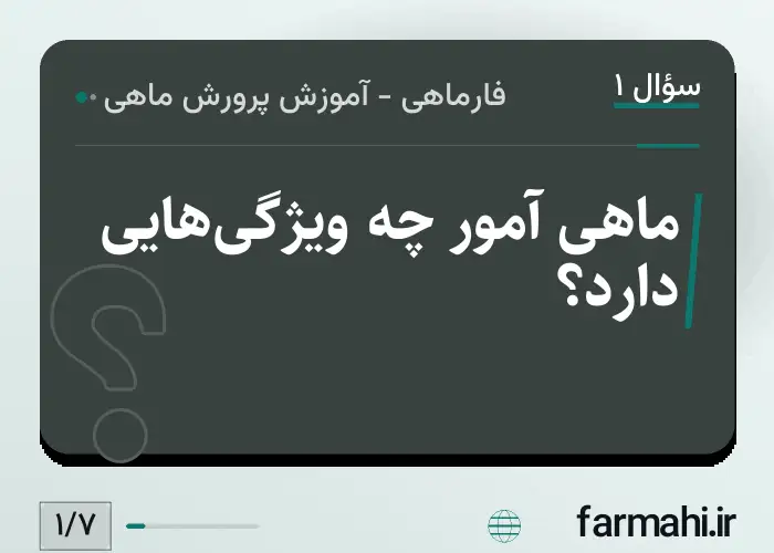 ماهی آمور چه ویژگی‌هایی دارد؟