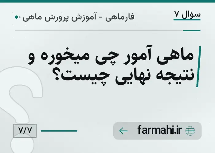 ماهی آمور چی میخوره و نتیجه نهایی چیست؟