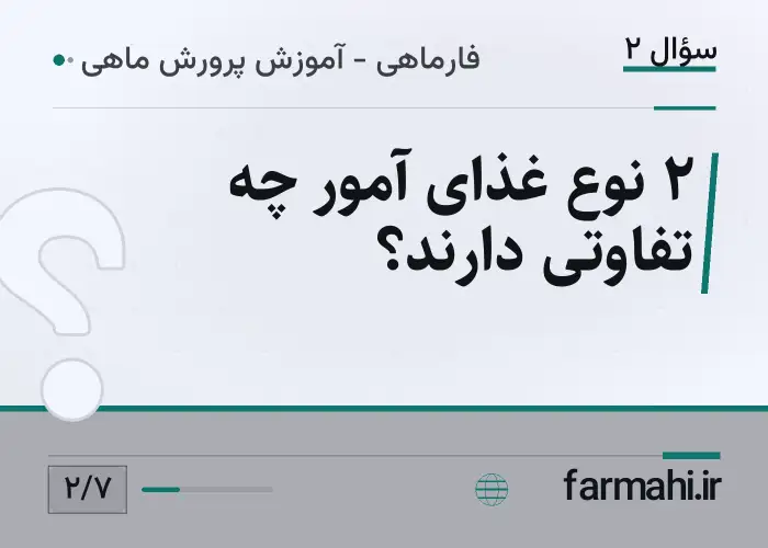 ۲ نوع غذای آمور چه تفاوتی دارند؟