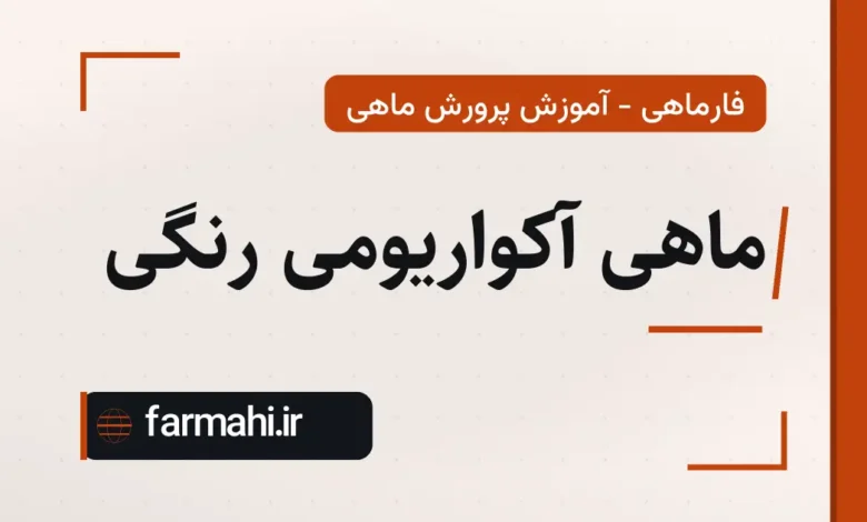 ماهی آکواریومی رنگی