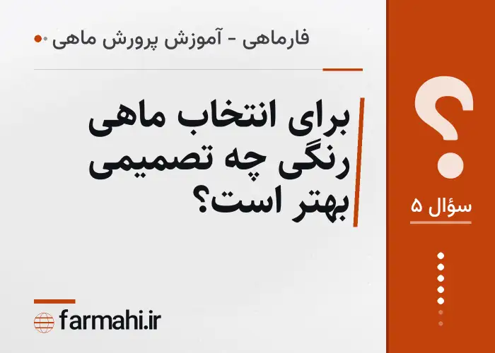 برای انتخاب ماهی رنگی چه تصمیمی بهتر است؟