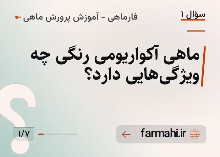 ماهی آکواریومی رنگی چه ویژگی‌هایی دارد؟