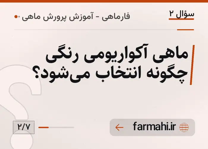 ماهی آکواریومی رنگی چگونه انتخاب می‌شود؟