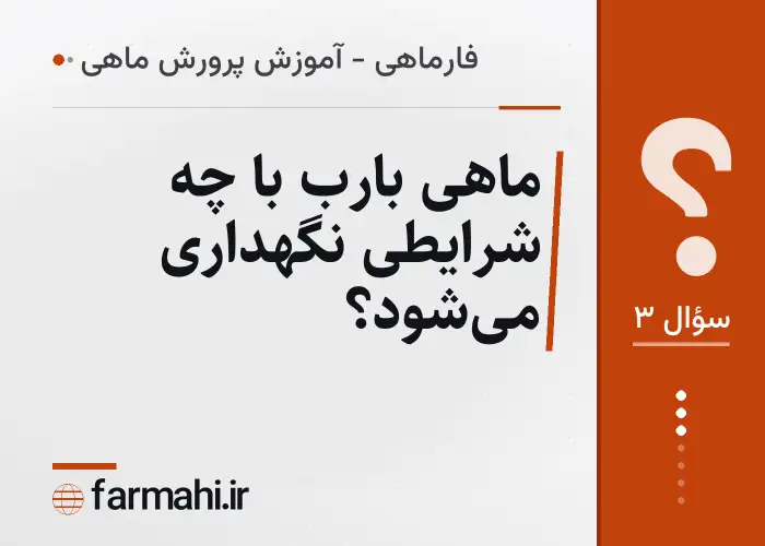 ماهی بارب با چه شرایطی نگهداری می‌شود؟