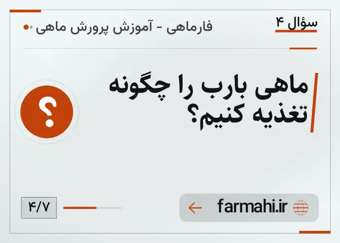 ماهی بارب را چگونه تغذیه کنیم؟