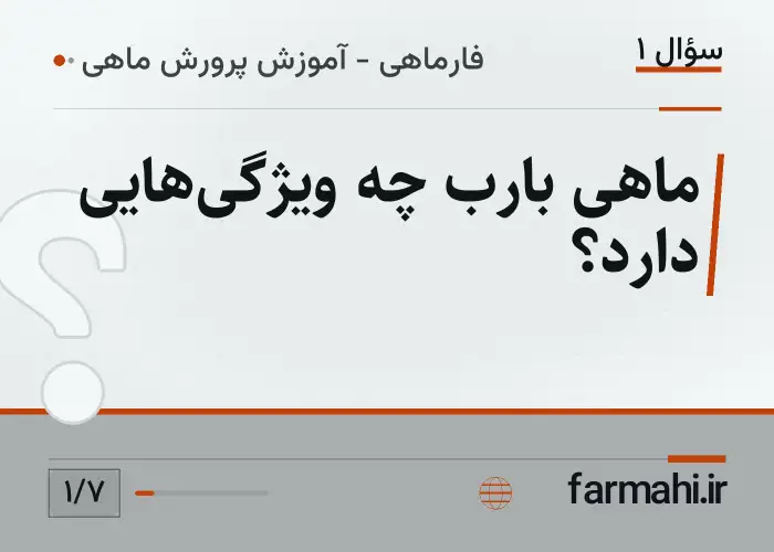 ماهی بارب چه ویژگی‌هایی دارد؟