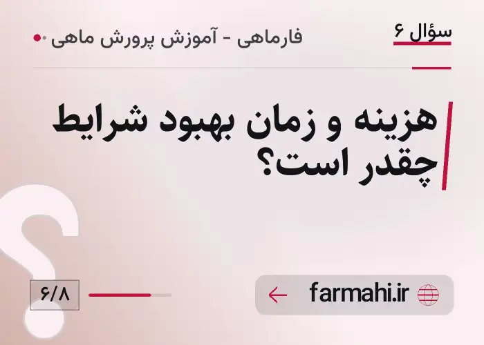 هزینه و زمان بهبود شرایط چقدر است؟