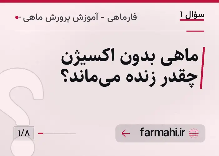ماهی بدون اکسیژن چقدر زنده می‌ماند؟