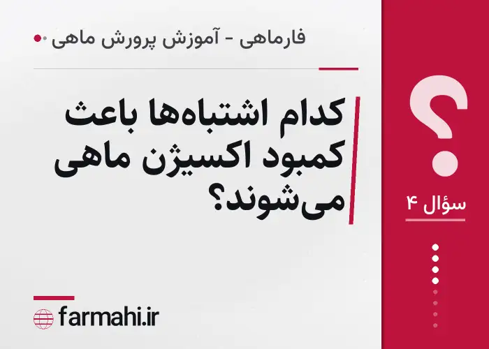 کدام اشتباه‌ها باعث کمبود اکسیژن ماهی می‌شوند؟