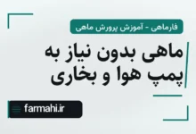 ماهی بدون نیاز به پمپ هوا و بخاری