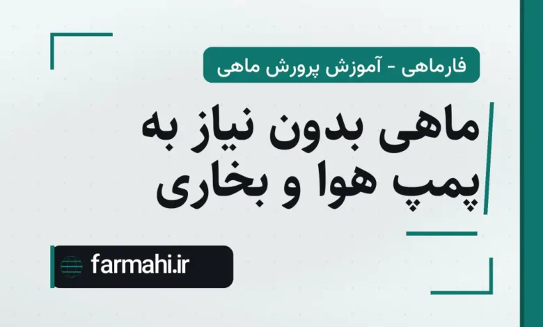 ماهی بدون نیاز به پمپ هوا و بخاری