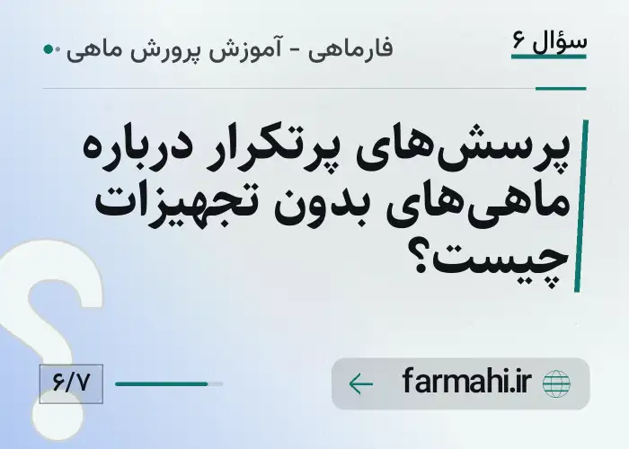 پرسش‌های پرتکرار درباره ماهی‌های بدون تجهیزات چیست؟