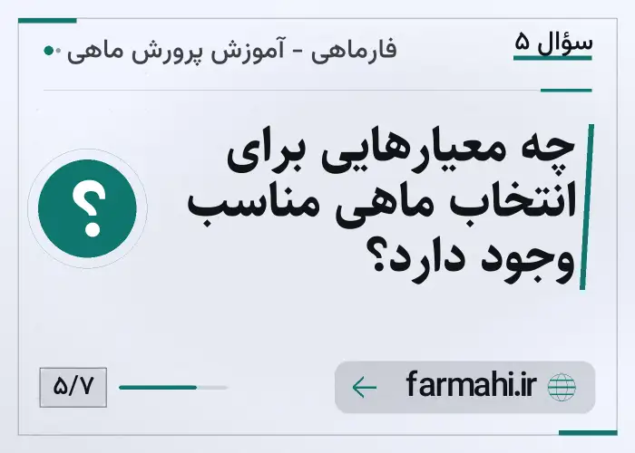 چه معیارهایی برای انتخاب ماهی مناسب وجود دارد؟