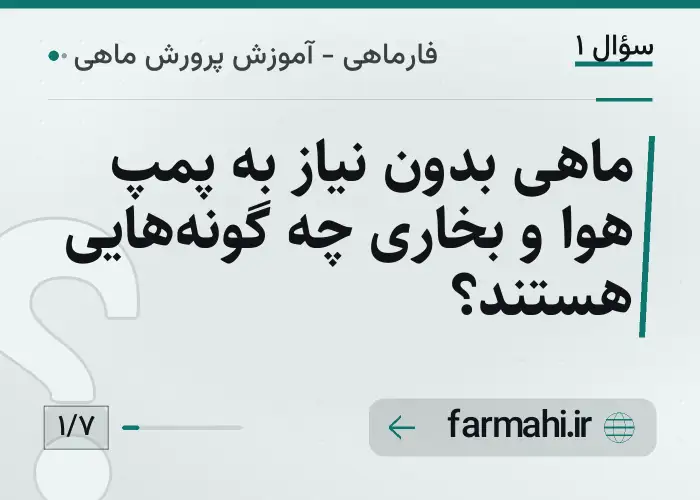 ماهی بدون نیاز به پمپ هوا و بخاری چه گونه‌هایی هستند؟