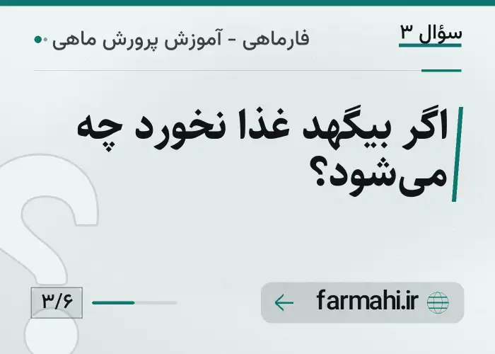 اگر بیگهد غذا نخورد چه می‌شود؟