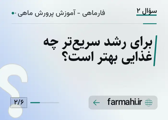 برای رشد سریع‌تر چه غذایی بهتر است؟