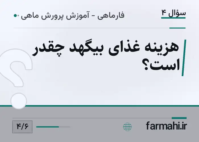 هزینه غذای بیگهد چقدر است؟