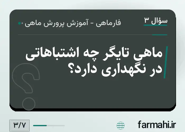 ماهی تایگر چه اشتباهاتی در نگهداری دارد؟