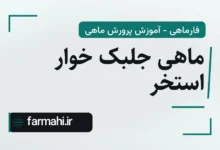 ماهی جلبک خوار استخر