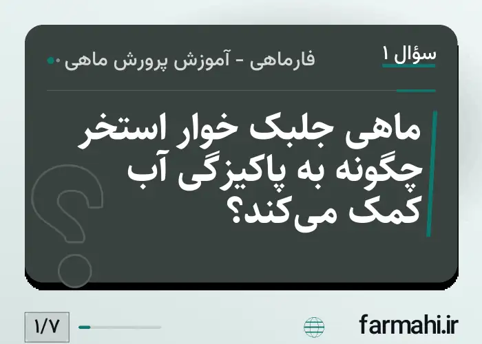 ماهی جلبک خوار استخر چگونه به پاکیزگی آب کمک می‌کند؟