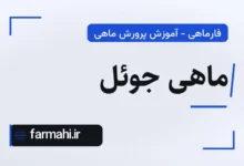 ماهی جوئل