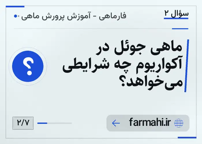 ماهی جوئل در آکواریوم چه شرایطی می‌خواهد؟