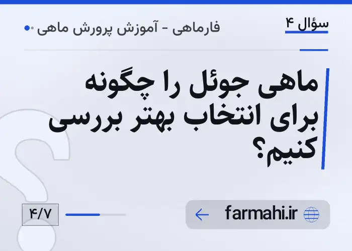 ماهی جوئل را چگونه برای انتخاب بهتر بررسی کنیم؟