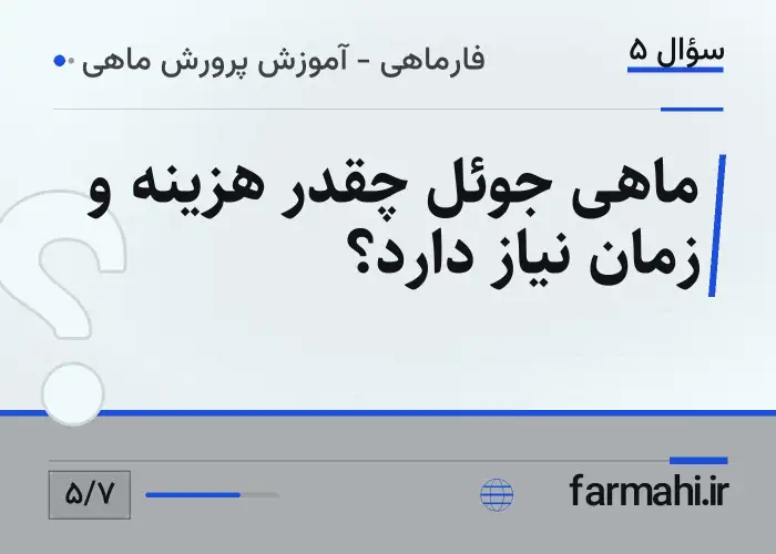 ماهی جوئل چقدر هزینه و زمان نیاز دارد؟