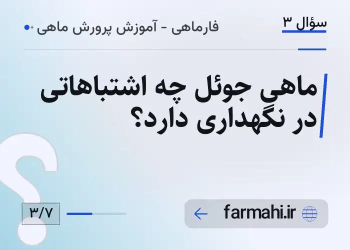 ماهی جوئل چه اشتباهاتی در نگهداری دارد؟