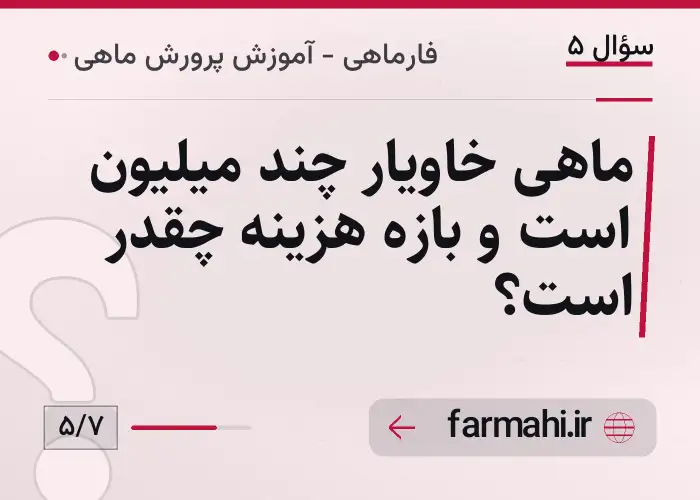 ماهی خاویار چند میلیون است و بازه هزینه چقدر است؟