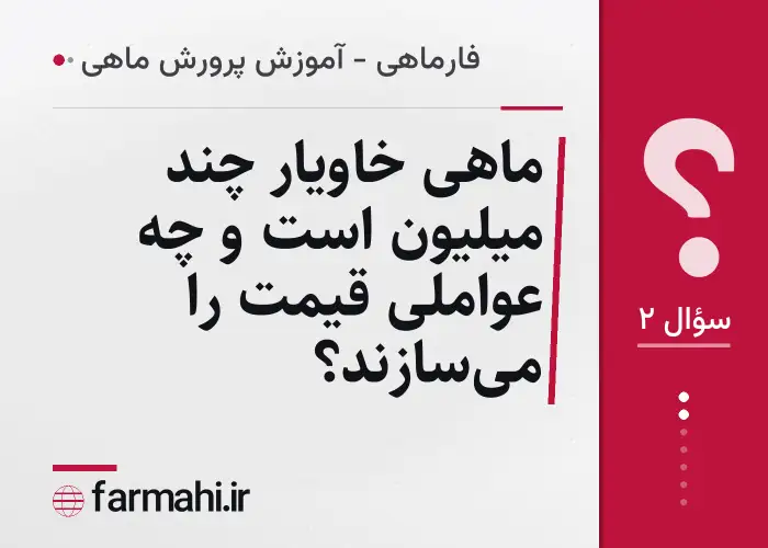 ماهی خاویار چند میلیون است و چه عواملی قیمت را می‌سازند؟