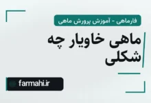 ماهی خاویار چه شکلی